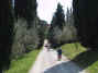 Particolare