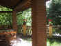 Detail00.jpg (72526 byte)