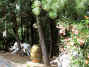 ParticolareBellavista.jpg (176455 byte)