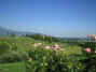 azienda.jpg (107003 byte)